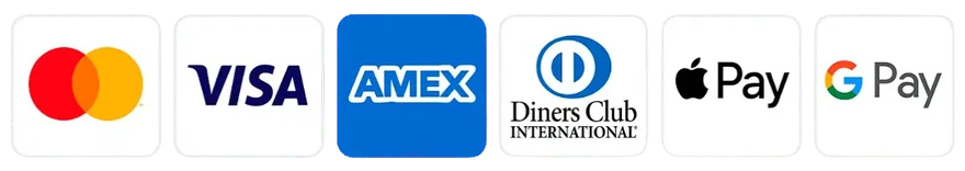 Mastercard, Visa, American Express, Diners Club, Apple Pay and Google Pay shown on the seller checkout strip